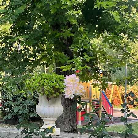 Le Boccede Frühstückspension Villa Minozzo