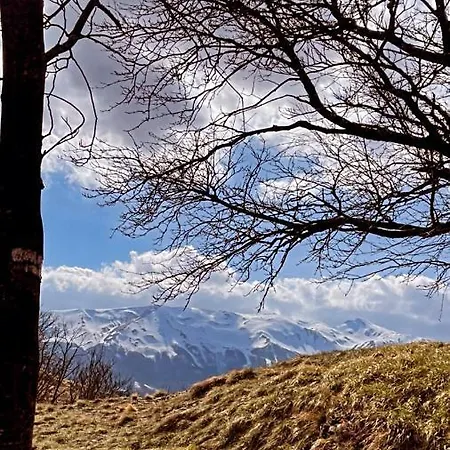 Bed & Breakfast Le Boccede Villa Minozzo