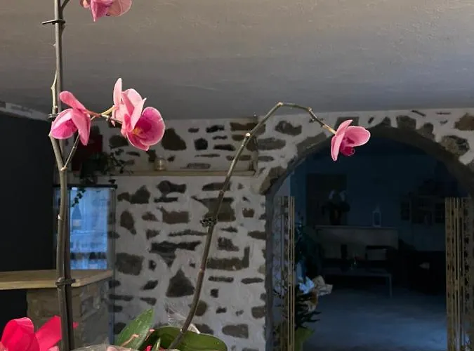 Bed & Breakfast Le Boccede Villa Minozzo