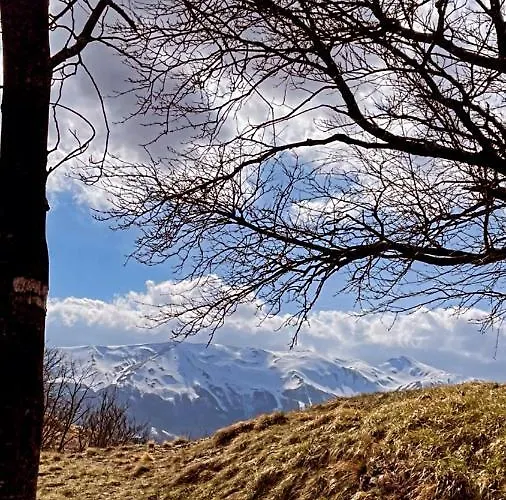 Bed & Breakfast Le Boccede Villa Minozzo