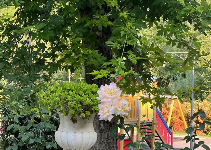 Le Boccede Bed & Breakfast Villa Minozzo